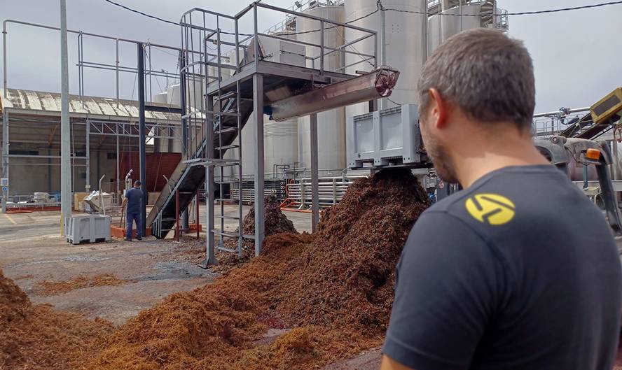 mahatsen-laranjen-eta-oliben-azpiproduktuekin-pent