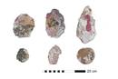 Urpean zeuden arkeologia-aztarnategiak azaleratu dituzte Australian