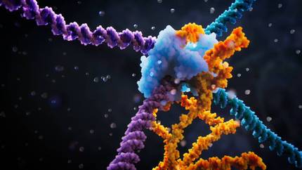 Edizio genetikoko teknika berri bat sortu dute, CRISPR baino zehatzagoa