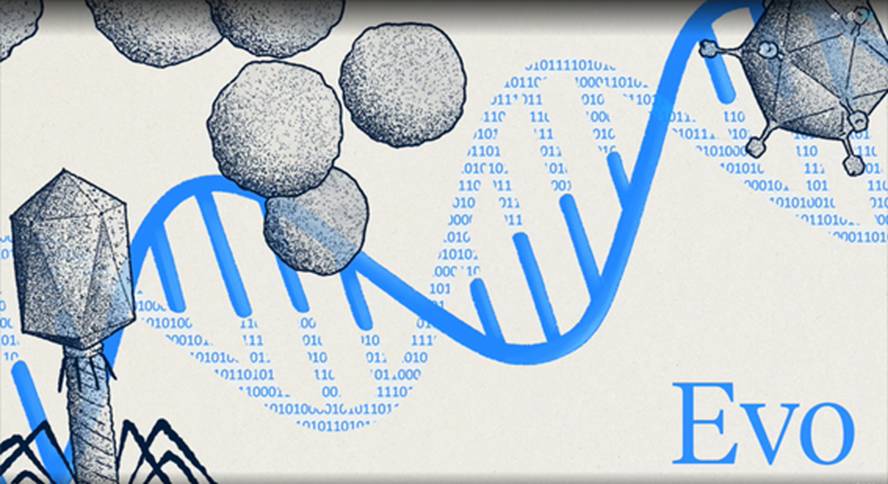 informazio-biologikoa-ulertzeko-eta-sortzeko-gai-d