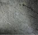 Paleolitoko grabatuak aurkitu dituzte Ekainetik hurbil dagoen Erlaitz kobazuloan 