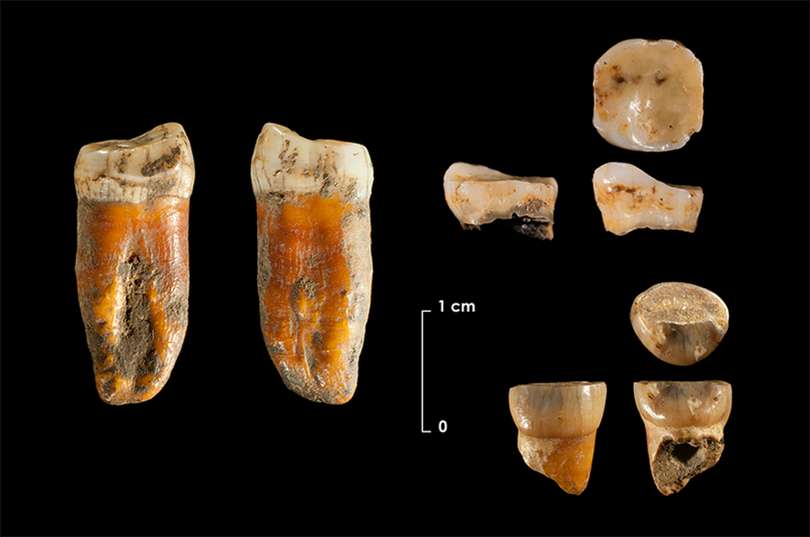 duela-100000-urteko-neandertalen-hortzak-aurkitu-d