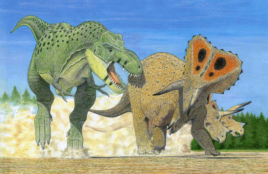 tyrannosaurus-generoko-hiru-espezie-egon-zitezkeen