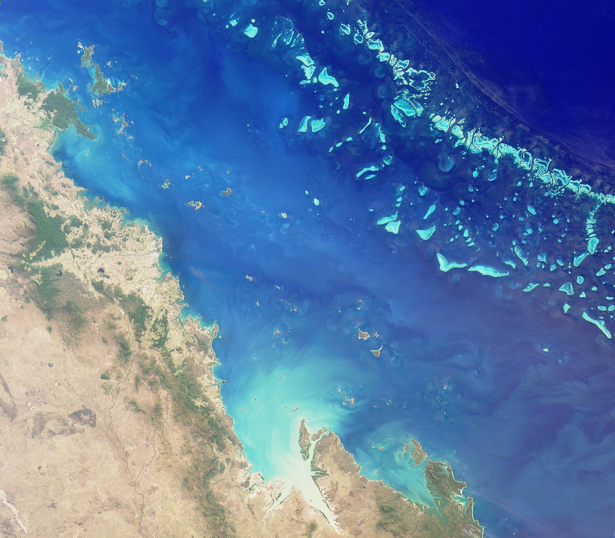 australiako-koral-hesia-4_238.584016384
