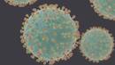 COVID-19 gaitza eragiten duen birusak gripearenak baino gutxiago mutatzen du