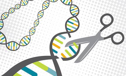CRISPR-en hamar urteko garapena eta etorkizunerako aurreikuspenak, argitara