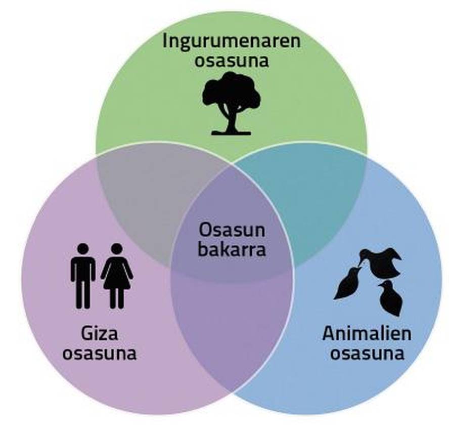 antibiotikoekiko-erresistentzia-osasun-bakarraren