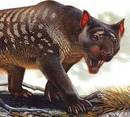 Gizakia ez zen izan Australiako megafauna desagertzearen eragilea