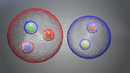 Hiru partikula exotiko berri aurkitu dituzte LHC azeleragailuan