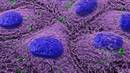 Nanoplastikoek hesteetako mikrobioma eralda dezakete