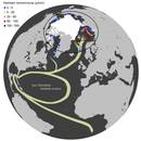 Ipar Atlantikoko plastikoek Artikoan amaitzen dutela frogatu dute
