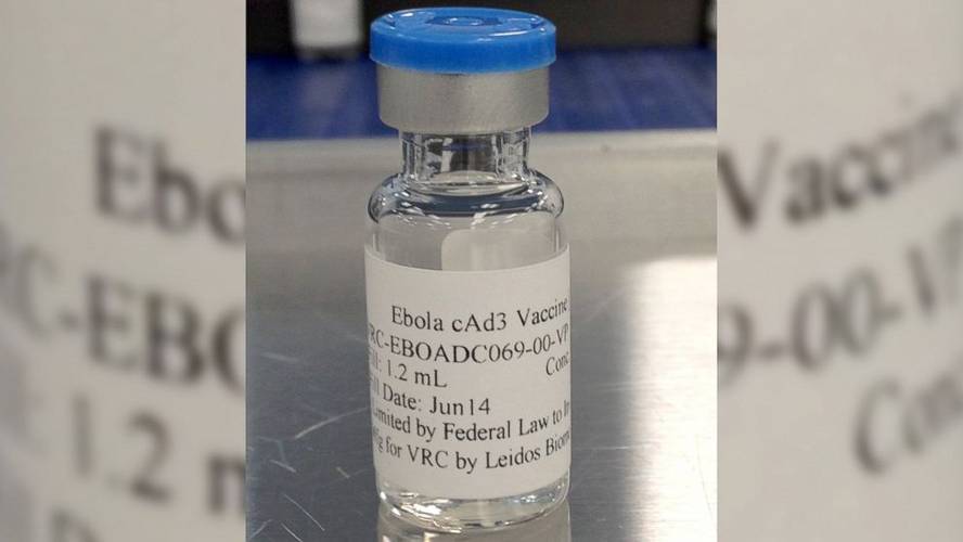 ebolaren-aurkako-txertoa-prest-2015erako
