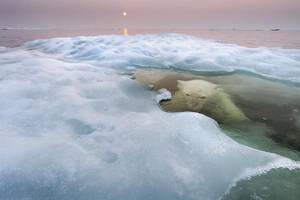 © Paul Souders/Wildlife Photographer of the Year 2013