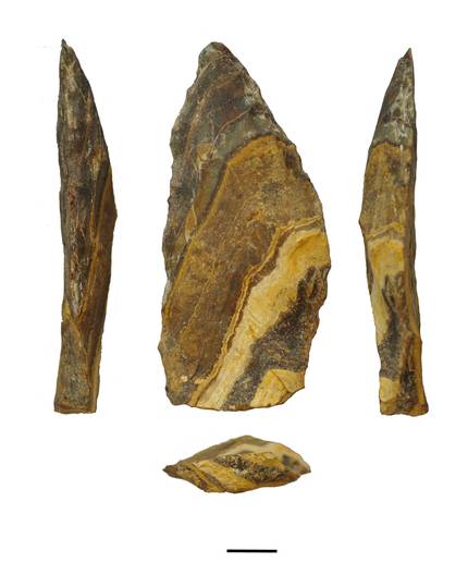 gure-espeziearen-eta-neandertalen-arbaso-komun-bat